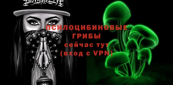 ПСИЛОЦИБИНОВЫЕ ГРИБЫ Краснослободск