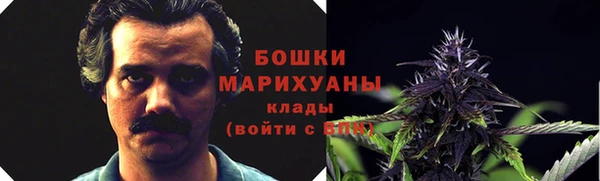 ПСИЛОЦИБИНОВЫЕ ГРИБЫ Краснослободск