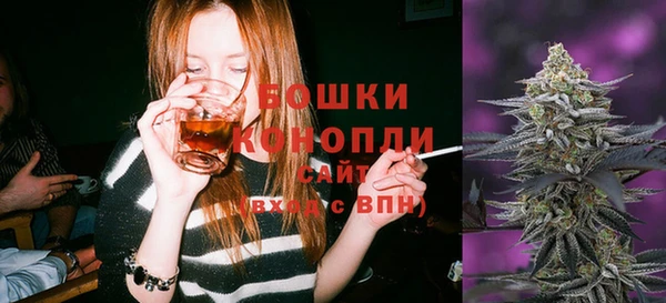 ПСИЛОЦИБИНОВЫЕ ГРИБЫ Краснослободск