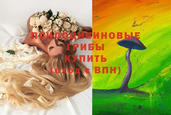 мескалин Красноперекопск