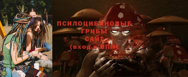 ПСИЛОЦИБИНОВЫЕ ГРИБЫ Краснослободск