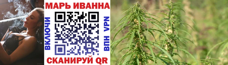 Конопля гибрид  Медынь 